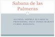 Sabana De Las Palmeras