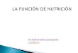 La función de nutrición(nuria soguero)