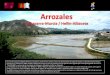 Arrozales (Calasparra-Murcia / Hellín-Albacete)