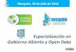 Especialización en Gobierno Abierto y Open Data - 2013