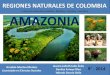 Amazonia colombiana