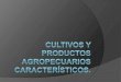 Cultivos y productos agropecuarios característicos