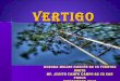(2012-11-15) Vertigo (ppt)