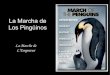 La Marcha De Los PingüInos