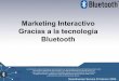 Presentacion Marketing Bluetooth 2009 Febreo