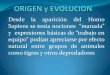 Origen, definicion, objetivos, evolucion