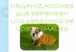 Organizaciones de los derechos de los animales