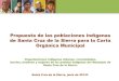 Propuesta Indígena Para la Carta Orgánica Municipal de Santa Cruz de la Sierra, Bolivia