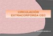 Circulación extracorpórea expo