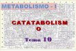 Tema 10 catabolismo-1