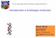 Introducción a biologia molecular