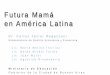 Futura mamá, Nivel Educativo de la Mujer en Edad Fértil en la Argentina