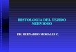 6 histologia del tejido nervioso