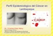 Perfil epidemiologico de cáncer en essalud lambayeque
