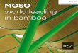 Suelo Bamboo Moso