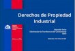 Derechos de Propiedad Industrial. INAPI