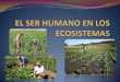 El ser humano en Los Ecosistemas Sandra V