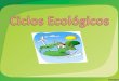 Ciclos Ecológicos (Exposición)