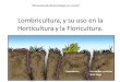 Lombricultura y su uso en la horticultura y floricultura