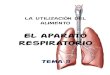 Tema 11 aparato respiratorio