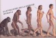Evolucion de la especie humnaa