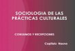 Sociologia de las prácticas culturales.pptx expo teorias!!!