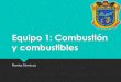 Combustion y combustibles