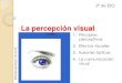 La percepcion visual tema1