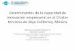 Determinantes de la capacidad de innovación empresarial en el Clúster terciario de Baja California, México