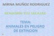 Proyecto Mirna Muñoz