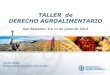 Carmen Bullon, FAO - Introducción de los DDHH a la sanidad agrícola