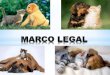 Marco legal 18 abril