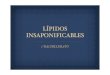 Lípidos insaponificables