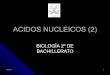 Ácidos nucleicos 2