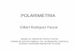 Polarimetria 2013 analisis instrumental