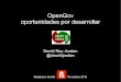 openGov. oportunidades por desarrollar