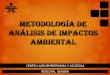 Metodología de análisis de impactos ambiental 2