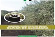 Manual práctico de riego: olivar de almazara