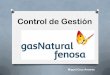 Presentación gas natural fenosa
