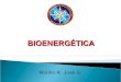 06 bioenergetica
