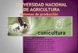 Universidad nacional de agricultura cunicultura