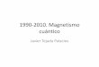 1990-2010 - Magnetismo Cuántico