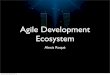 Agile Development Ecosystem