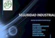 Diapositivas  seguridad industrial