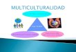 Presentacion multiculturalidad
