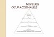 Diapositiva del trabajo de investigacion de nineles ocupacionales yesica