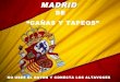 Tabernas antiguas de Madrid