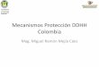 PROTECCIÓN CONSTITUCIONAL DE LOS DDHH ((DIPLOMADO FUNDES MÓDULO 2)