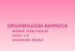 Organologia barroca