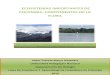 Unidad didactica flora de los ecosistemas colombianos